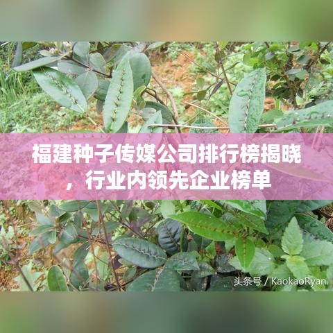 解决方案 第25页