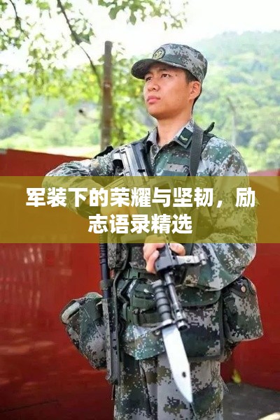 2025年4月 第143页