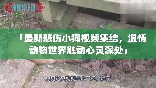 解决方案 第19页