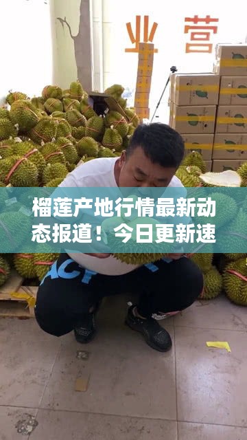2025年4月 第130页