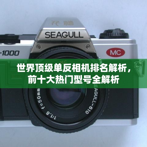 世界顶级单反相机排名解析，前十大热门型号全解析