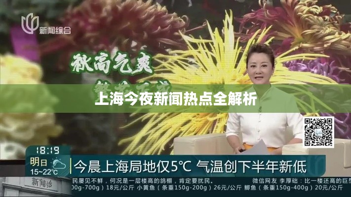 上海今夜新闻热点全解析