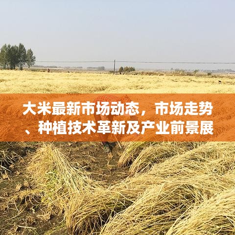 天各一方