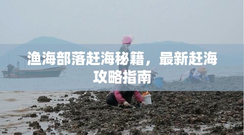 兽聚鸟散