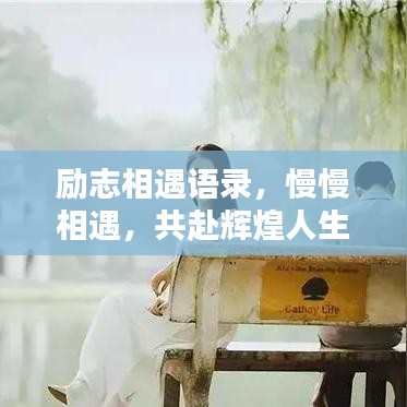 解决方案 第13页