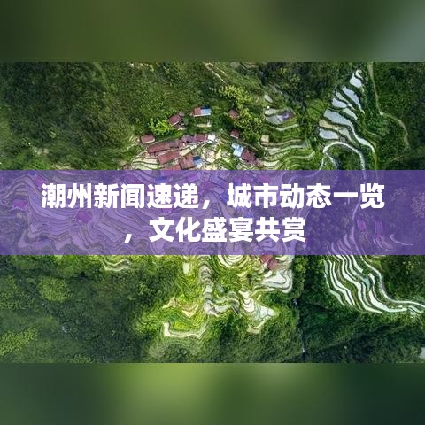 品质保障 第11页