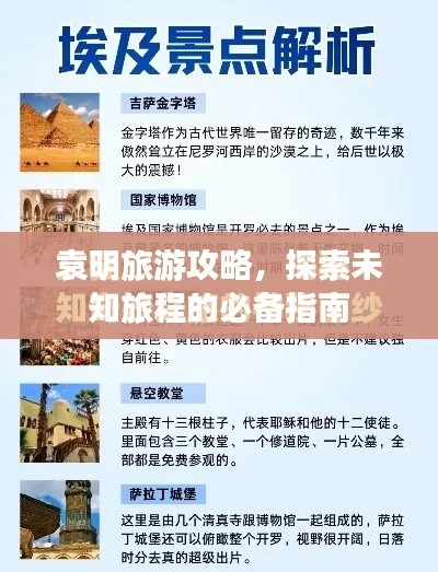 尽心尽力