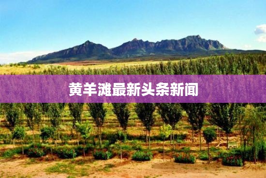 张袂如阴