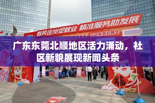 广东东莞北顺地区活力涌动，社区新貌展现新闻头条