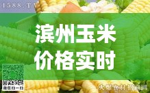 兵贵神速
