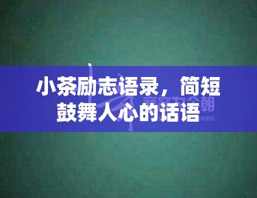 张睢阳齿
