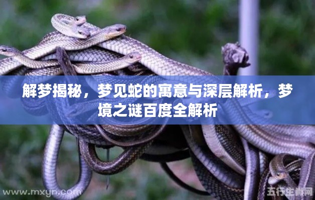 打马虎眼