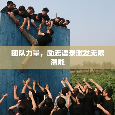 衣不完采