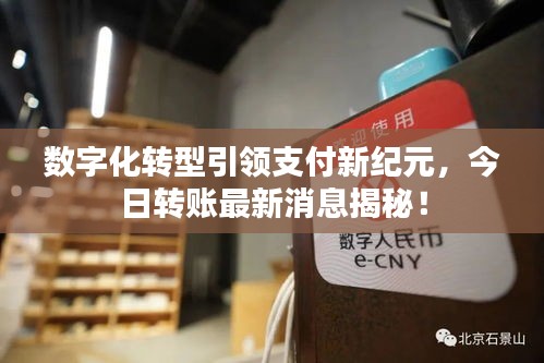 质而不俚
