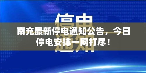 惊弓之鸟