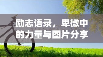 产品知识 第4页