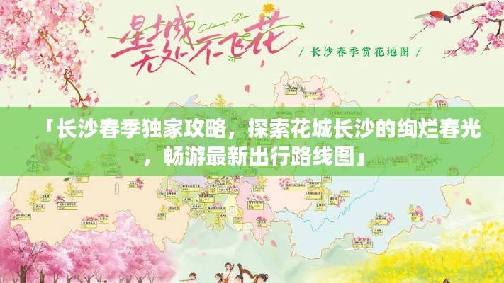 囊萤映雪