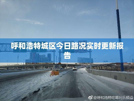 瑞雪飞舞