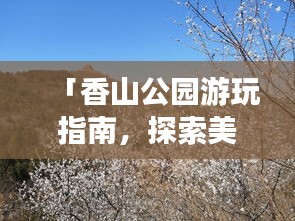 大张旗鼓