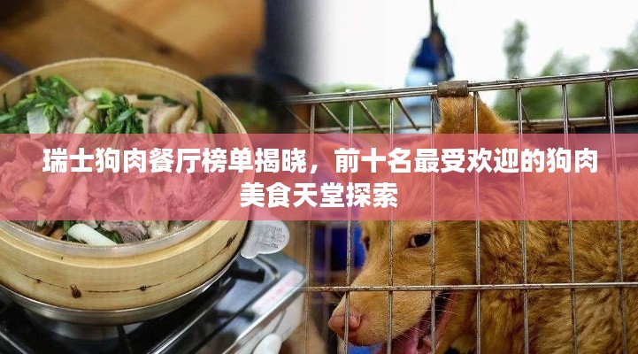 瑞士狗肉餐厅榜单揭晓，前十名最受欢迎的狗肉美食天堂探索