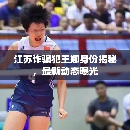 江苏诈骗犯王娜身份揭秘，最新动态曝光