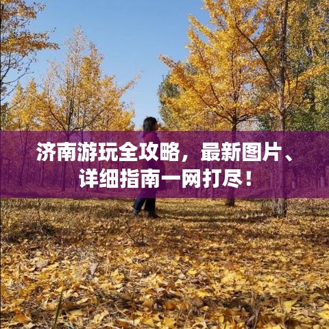 济南游玩全攻略，最新图片、详细指南一网打尽！
