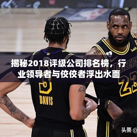 揭秘2018评级公司排名榜，行业领导者与佼佼者浮出水面