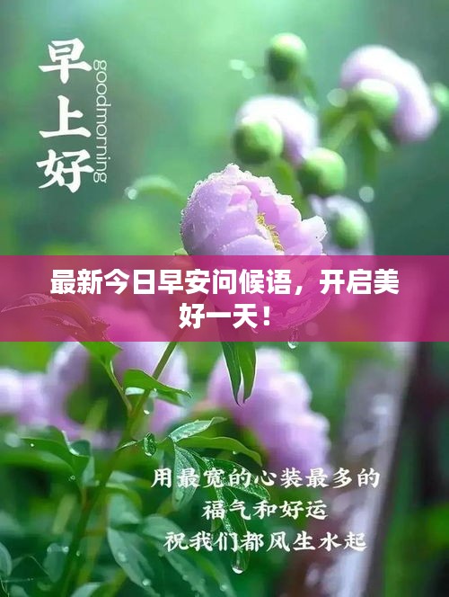 无拘无束