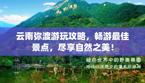 风驰电掣
