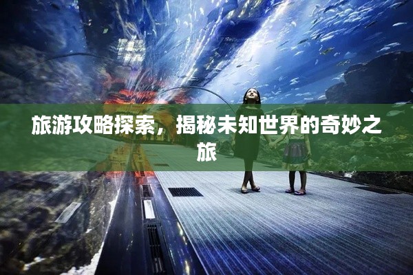 韦编三绝