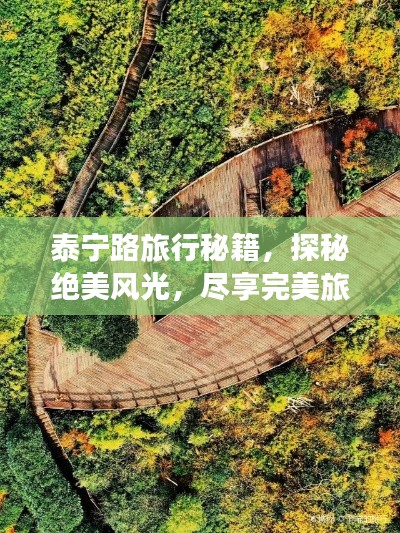 白璧无瑕