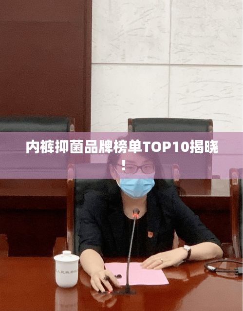 纲挈目张