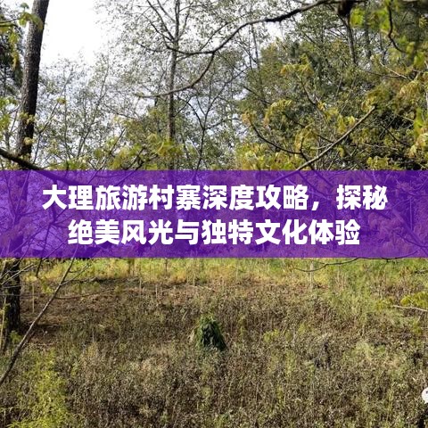 大理旅游村寨深度攻略，探秘绝美风光与独特文化体验